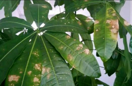 /UploadFiles/image/2024-08-02/66ac7d59bd8d6.png QQ截圖20240802142828.png