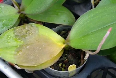 /UploadFiles/image/2024-08-02/66ac7d69c3eaf.png QQ截圖20240802142840.png