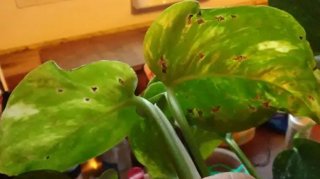 /UploadFiles/image/2024-08-02/66ac7d78840da.png QQ截圖20240802142848.png