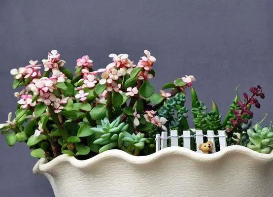 /UploadFiles/image/2024-08-13/66bab1c0837f6.png QQ截圖20240813085930.png