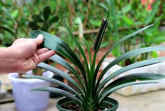 /UploadFiles/image/2024-08-22/66c692607cd21.png QQ截圖20240822091906.png