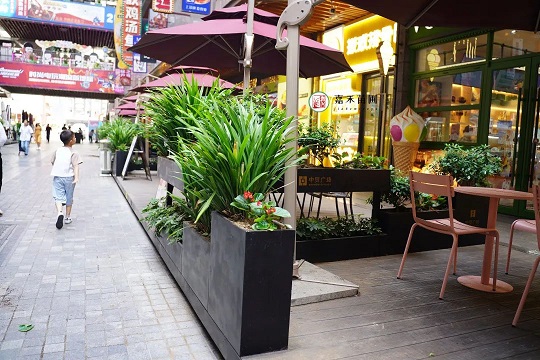 室外花箱景觀植物|西安嘉禾苗圃 室外花箱景觀植物|西安嘉禾苗圃