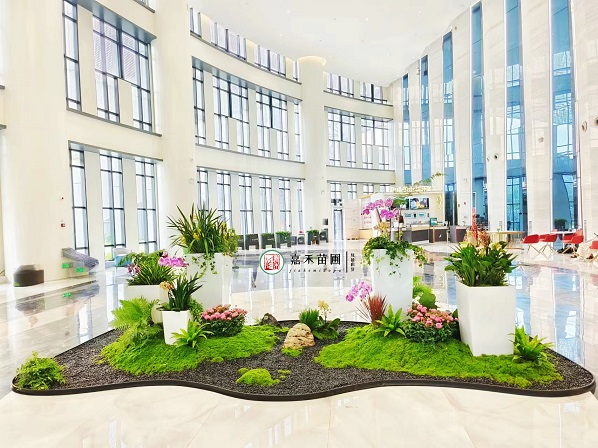 西安辦公大廳綠植造景|西安嘉禾苗圃