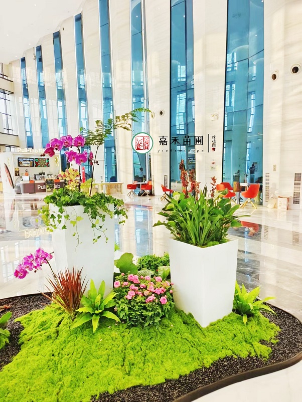 辦公大廳綠植造景|西安嘉禾苗圃