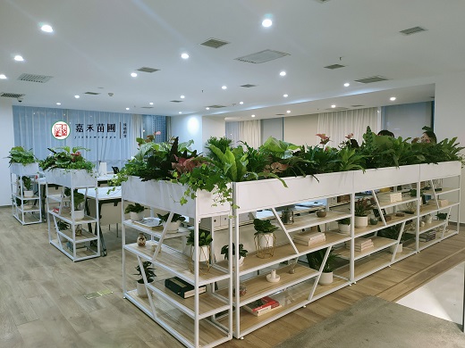 西安綠植租賃案例|西安嘉禾苗圃 西安綠植租賃案例|西安嘉禾苗圃