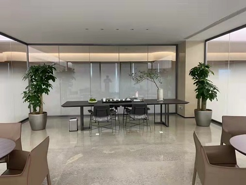 西安領(lǐng)導(dǎo)辦公室綠植租賃|西安嘉禾苗圃 西安領(lǐng)導(dǎo)辦公室綠植租賃|西安嘉禾苗圃