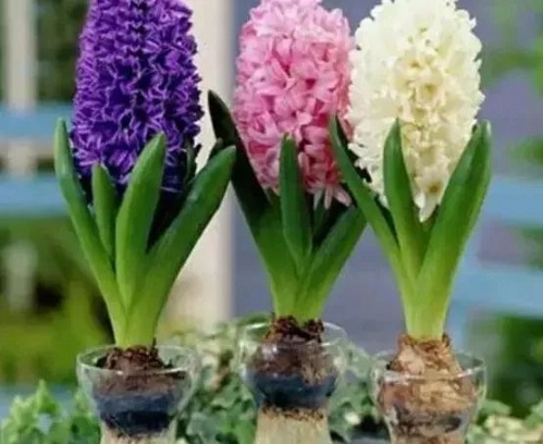 /UploadFiles/image/2024-11-20/673d9c4bae61e.jpg 640.jpg