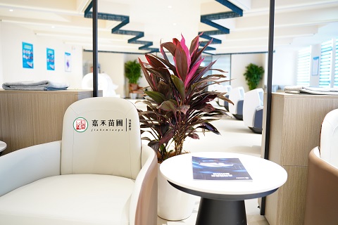 西安綠植租賃|西安嘉禾苗圃 西安綠植租賃|西安嘉禾苗圃