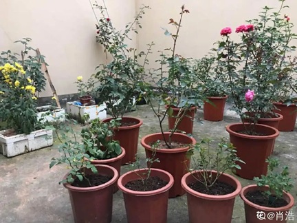 /UploadFiles/image/2025-02-26/67beb5265e245.jpg 640 (1).jpg