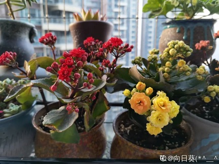 /UploadFiles/image/2025-02-26/67beb53177f5b.jpg 640.jpg