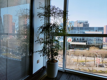 西安綠植租賃公司|西安嘉禾苗圃