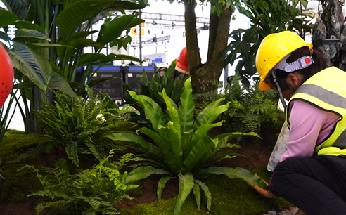 西安植物造景現(xiàn)場|西安嘉禾苗圃