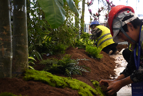 西安植物造景布置|西安嘉禾苗圃