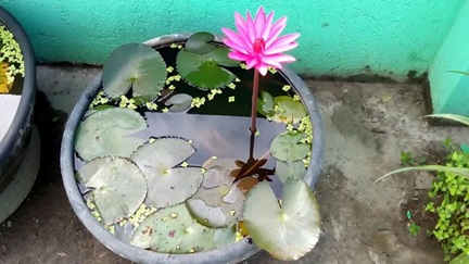 /UploadFiles/image/2025-06-10/6847946b18bd7.jpg 640.jpg