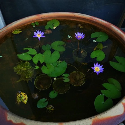 /UploadFiles/image/2025-06-10/6847948682a4e.jpg 640 (2).jpg