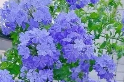 /UploadFiles/image/2025-06-23/6858f6616d4d9.jpg 640 (2).jpg