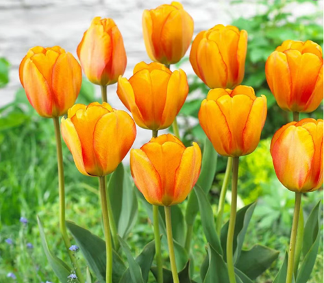 /UploadFiles/image/2025-07-17/68784e9368a72.png QQ20250717-090923.png