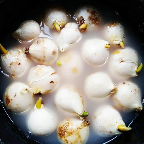 /UploadFiles/image/2025-07-17/68784ea2c4dc9.png QQ20250717-091004.png