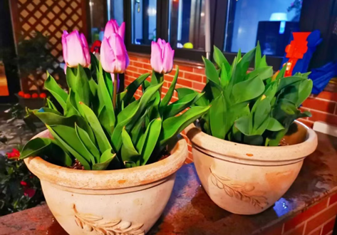 /UploadFiles/image/2025-07-17/68784ebc60131.png QQ20250717-091041.png