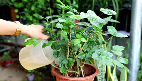 /UploadFiles/image/2025-07-28/68871bfe37b5e.png QQ20250728-144011.png