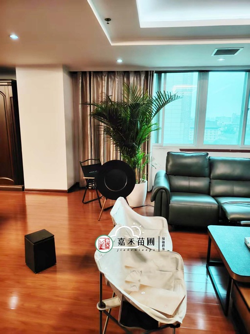 西安綠植租賃供應(yīng)商|西安嘉禾苗圃